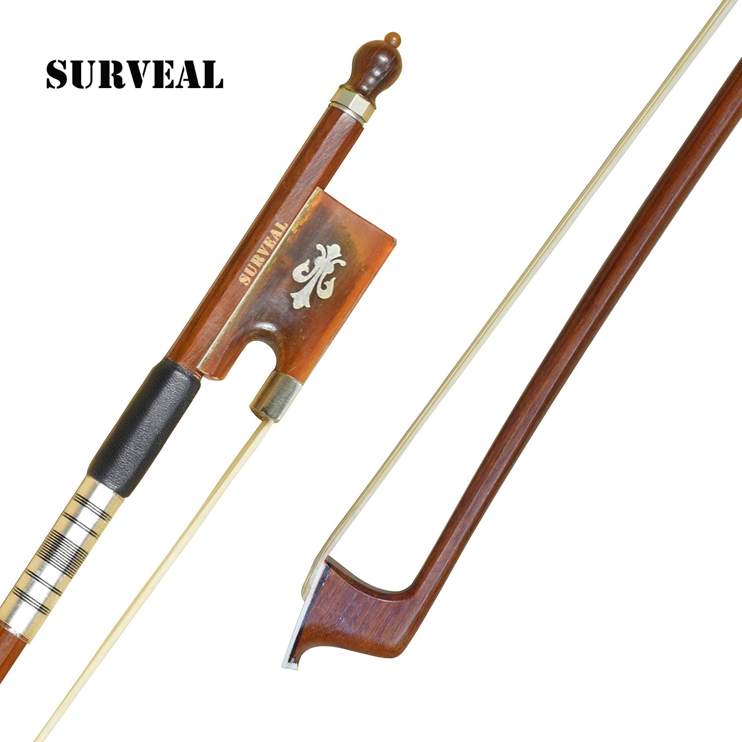 violino con archetto