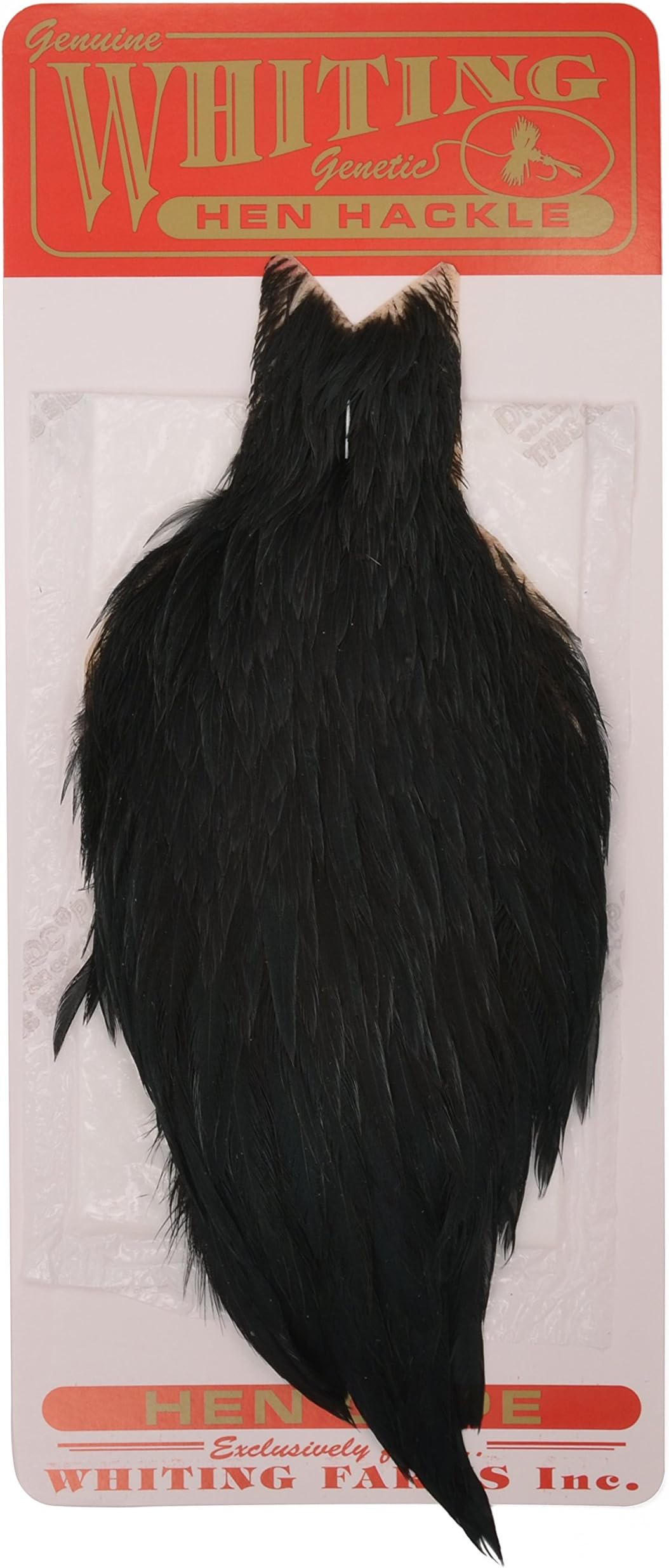Whiting Hen Capes