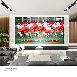 Epson SilverFlex Ultra 120-Inch Ambient Light