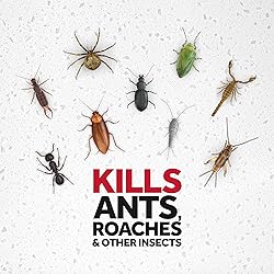 Raid Ant and Roach Kills on Contact No Lingering