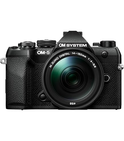 Amazon.com : OM SYSTEM Olympus OM-D E-M1 Mirrorless Camera with