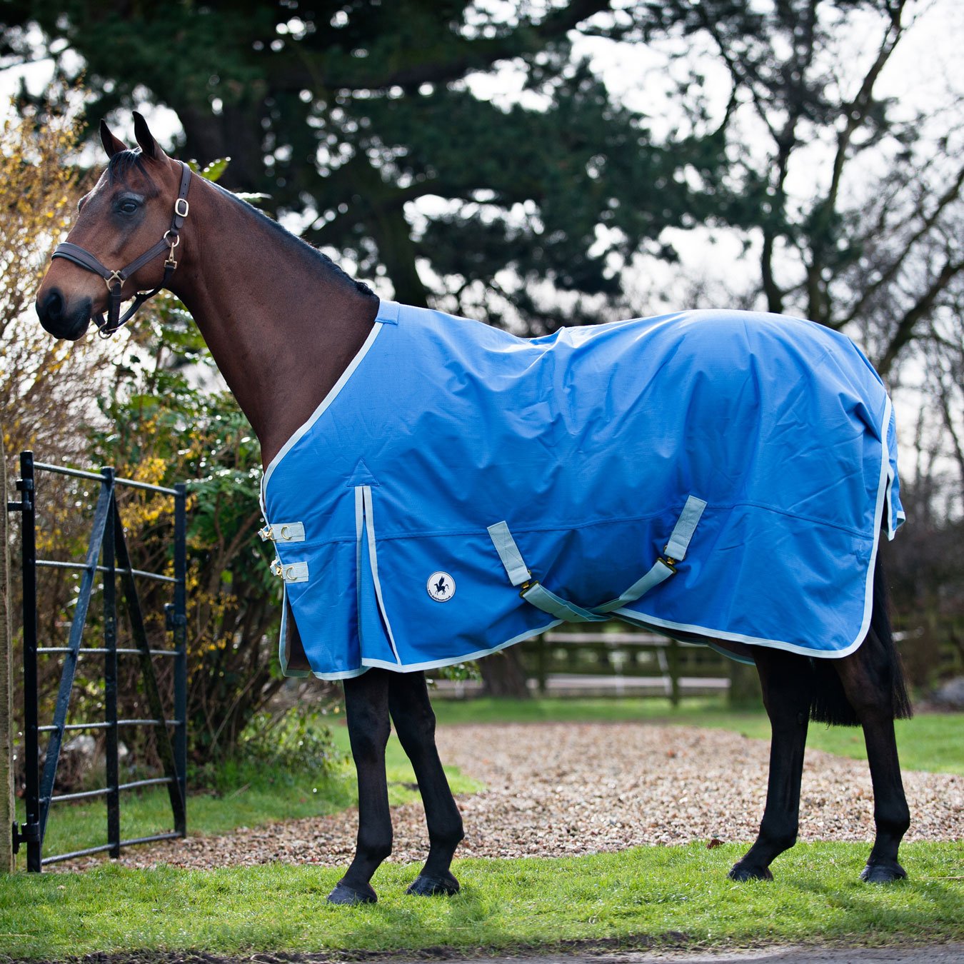 Derby House Pro Lightweight Standard Turnout Rug Wedgewood/Whispering