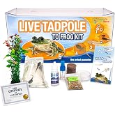 Tadpole to Frog Kit with Certificate for 2 Live Tadpoles, All-in-One Bundle | Watch metamorphosis with this complete tadpole kit, an all-in-one bundled engaging science project