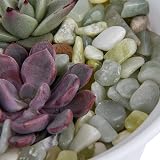 Hisredsun Natural Jade Pebbles 3.96 lb 0.3-0.5in Decorative Stones view 3