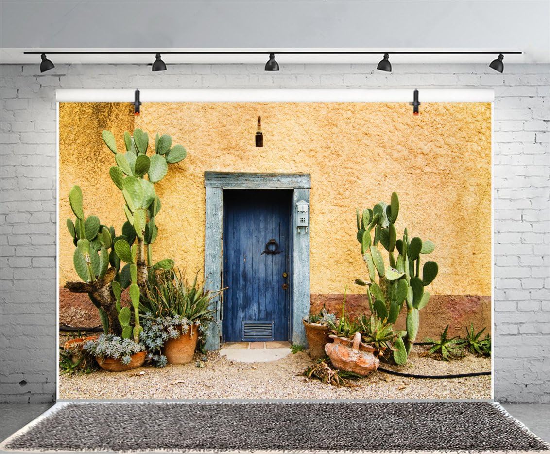 Leyiyi 7x5ft Photography Background Mexico Cactus Backdrop Western Building Life Desert Plant Saguaro Grunge Stone Wall Flowerpot Oilpainting Garden Door Cowboy Photo Portrait Vinyl Studio Video Prop
