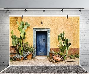 Leyiyi 7x5ft Photography Background Mexico Cactus Backdrop Western Building Life Desert Plant Saguaro Grunge Stone Wall Flowerpot Oilpainting Garden Door Cowboy Photo Portrait Vinyl Studio Video Prop