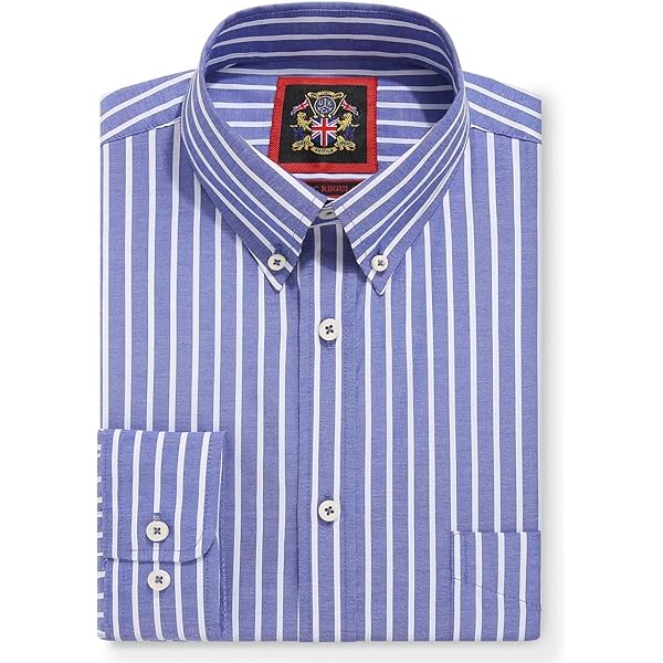 Amazon.com: The Elizabeth White Stripe Oxford Shirt for Mens,Work
