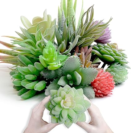 Amazon ミニ 人工多肉植物 ピック 16個 鉢植えなし フェイク多肉植物 詰め合わせ 様々なサイズ 蓮の風景 装飾ガーデンアレンジメント 装飾 人工観葉植物 オンライン通販