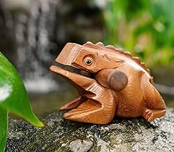 BSIRI 5" Wooden Frog Rasp - Musical instruments of