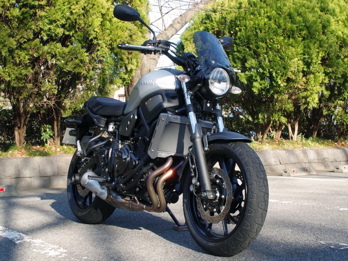 Amazon ワールドウォーク Xsr700用フォークマウントスクリーン ロング スモーク Ws 26 5ls 車 バイク 車 バイク