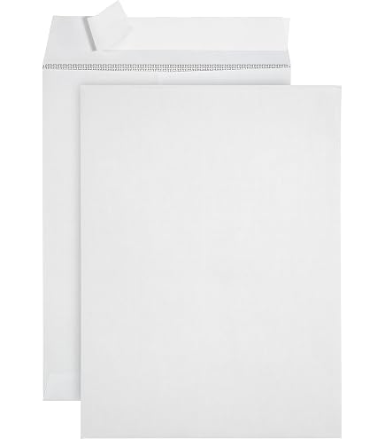 Aviditi Jumbo Kraft Envelopes – 16" X 20", Case Of 100, For Shipping & Protecting Large Documents