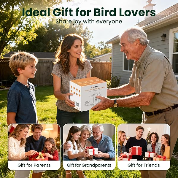 SOLIOM BF09 BIRD FEEDER WITH CAMERA WIRELESS OUTDOOR,SMART FEEDER CAMERA WITH AI IDENTIFY SPECIES,BACKYARD WATCHING GIFT,AUTO RECORD BIRD VIDEO,INSTANT NOTIFICATIONS, US