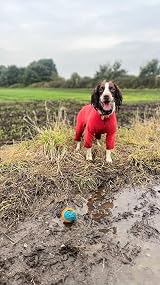 Pet Wiz Warm Four-Legged Dog Fleece Coral X-Large Weather-Resistant view 9