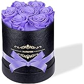 NATROSES 7 Piece Preserved Roses in a Box, Preserved Flowers for Birthday, Flower Gifts for Mothers Day (Light Purple)