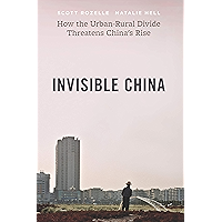 Invisible China: How the Urban-Rural Divide Threatens China’s Rise book cover