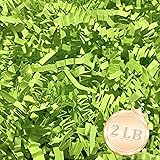 2 LB Fresh Green Crinkle Cut Paper Shred Filler