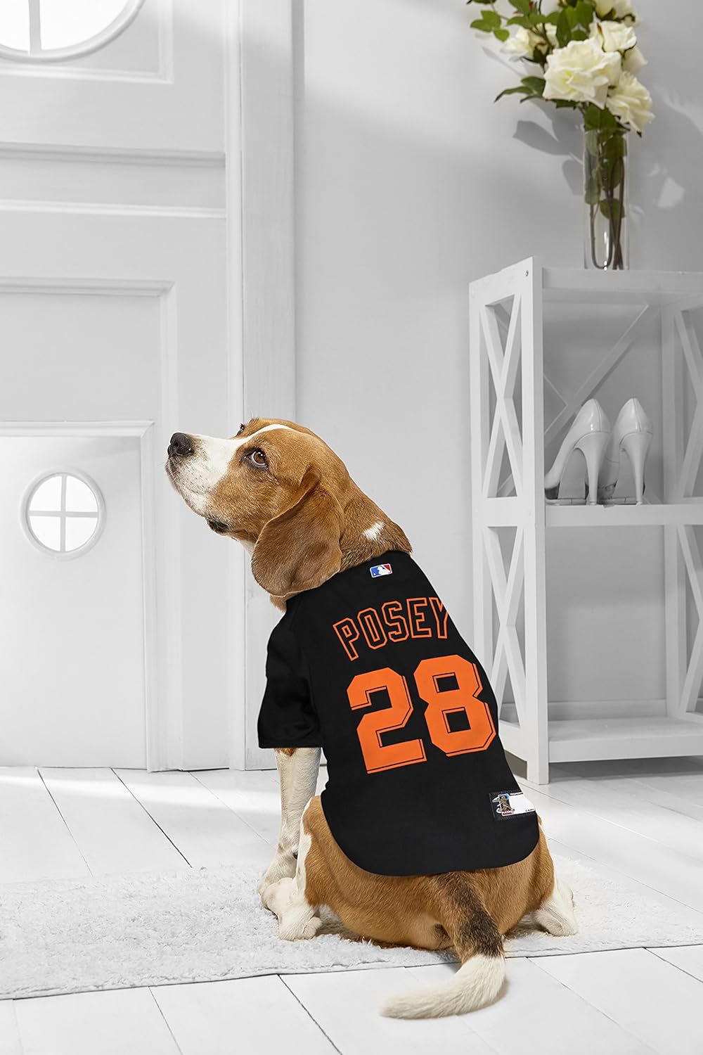 mlb pet gear