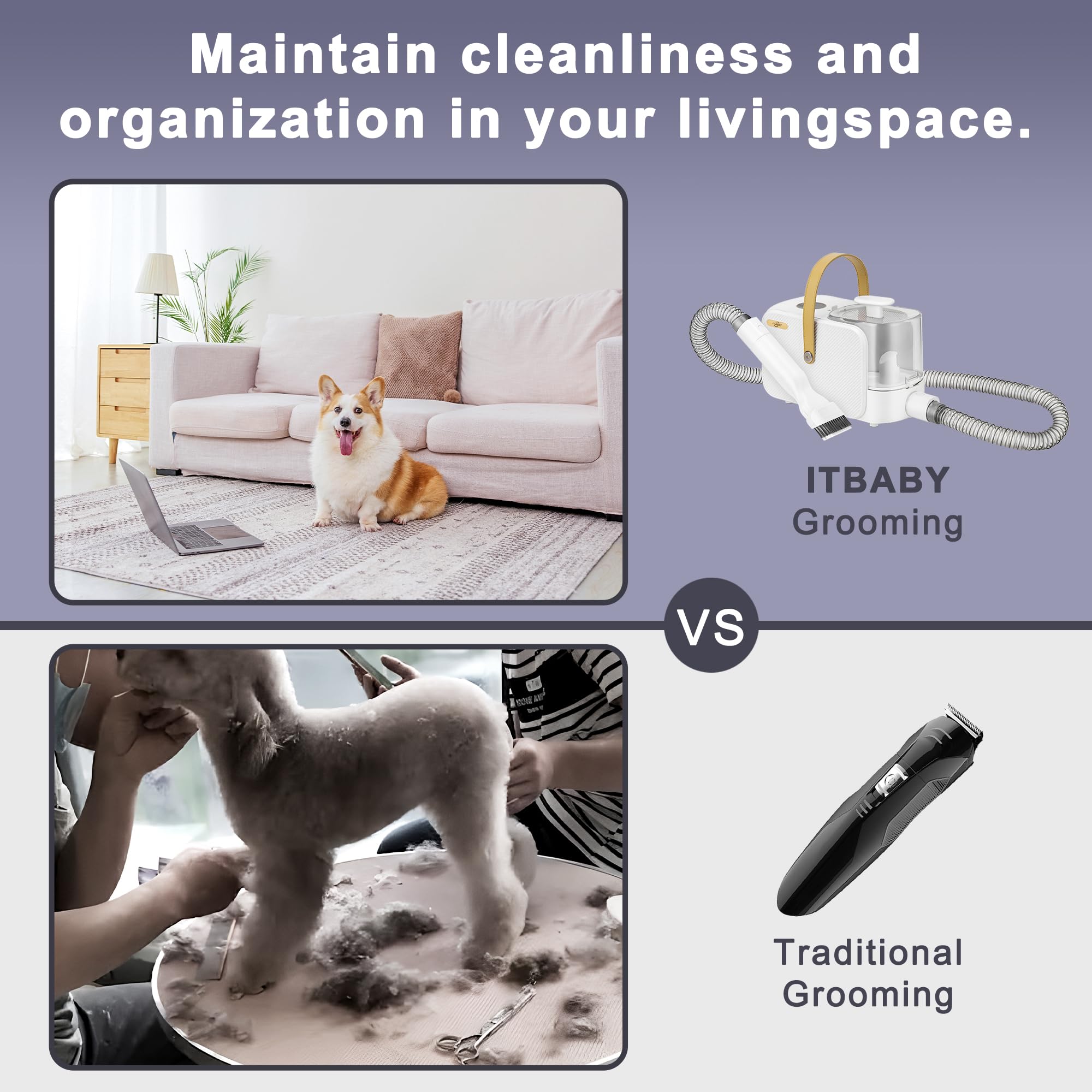 ITBABY 2.5L Dog & Cat Grooming Kit - Professional Clippers with 8 Tools, Quiet Pet Vacuum Groomer (White)