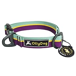OllyDog Flagstaff Dog Collar, Magenta, Medium