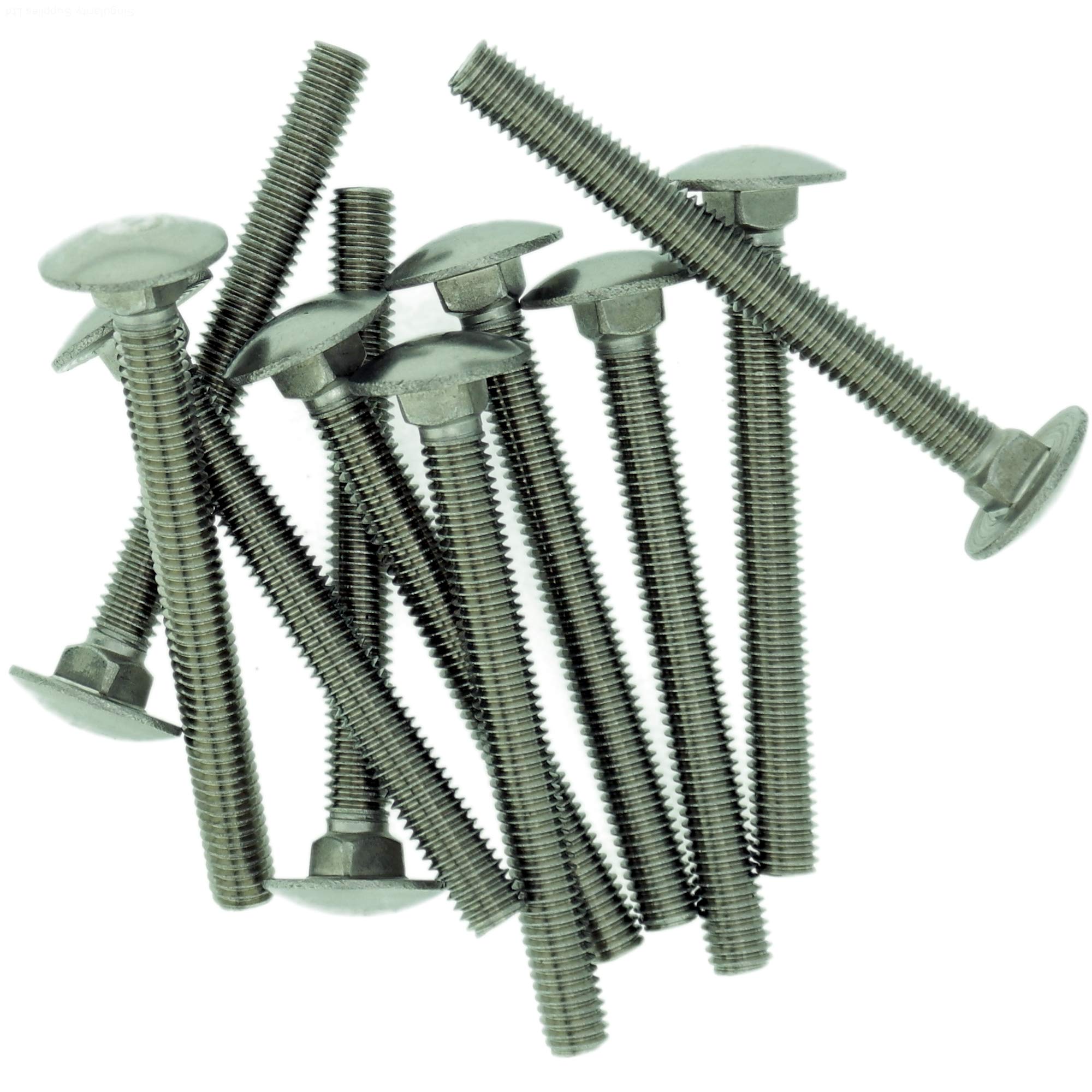 M6 (6mm x 60mm) Cup Square Carriage Bolt (Fully Threaded) - Stainless Steel (A2) (Pack of 10)