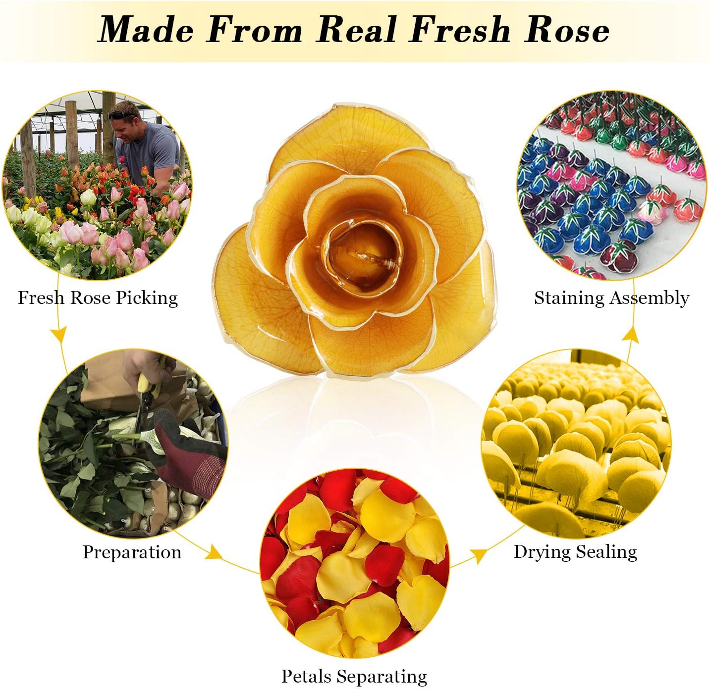 Ejoyous 24K Gold Rose W/Stand Gift for Girlfriend Daughter Mom Grandma Friend Birthday Wedding Anniversary Graduation Valentines Thanksgiving Gratitude Present - Image 3