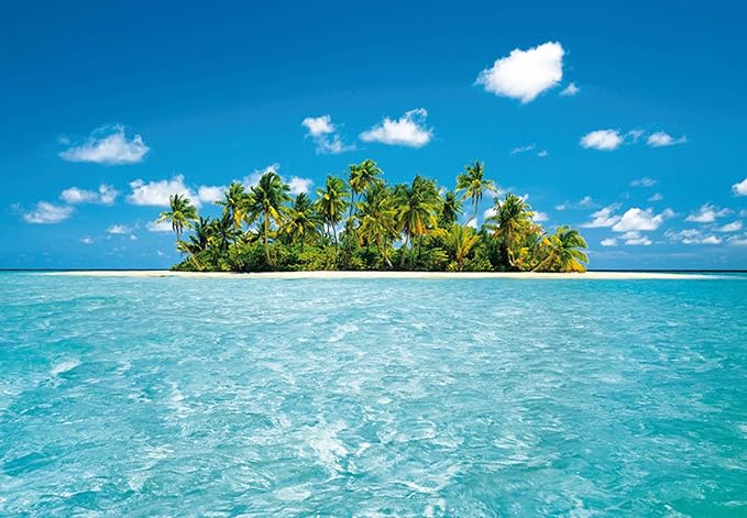 Idealdecor Fototapete, 8-0289, MALEDIVE DREAM, 366x254 Malediven Insel Palme Südsee Ozean Wasser blau