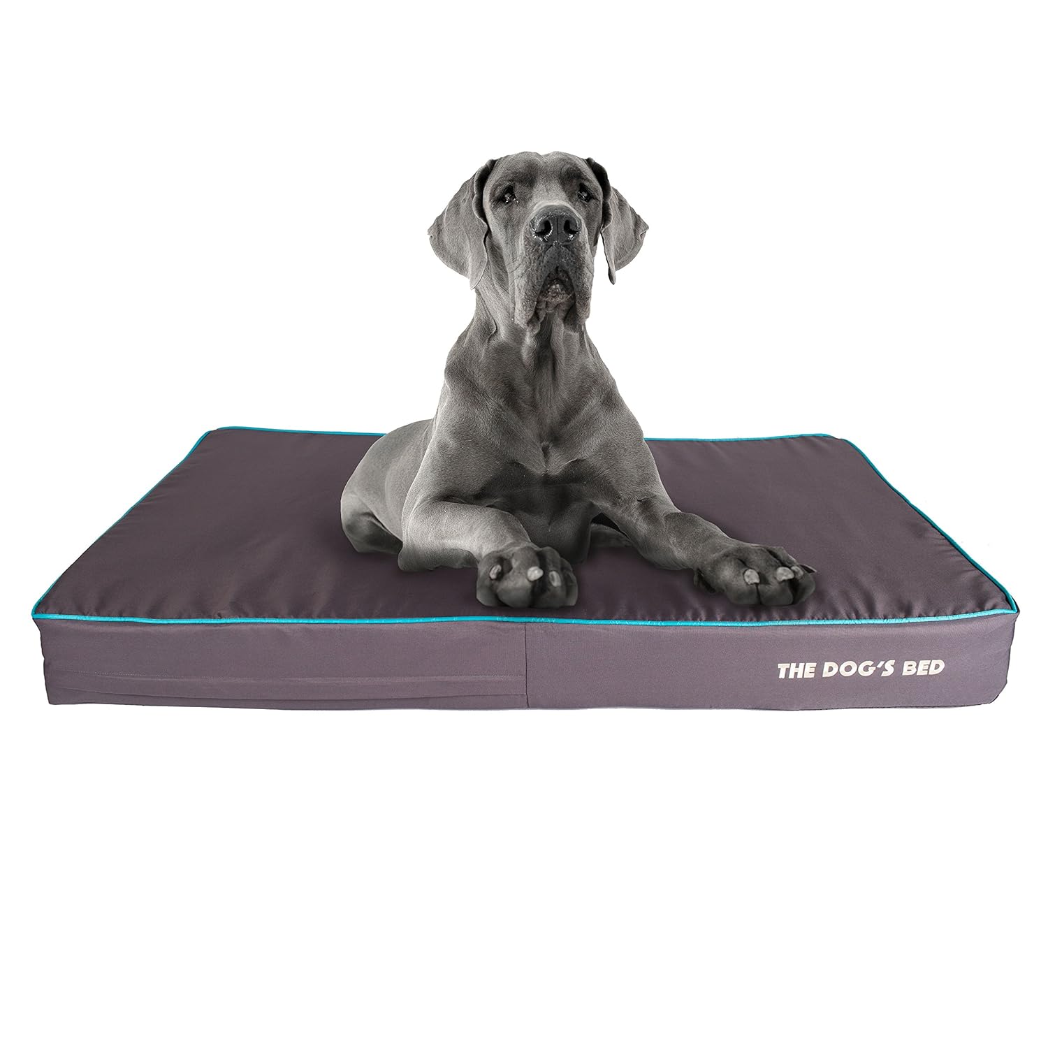 The Dog's Bed Orthopaedic Dog Bed XXL Blue 137x91cm, Premium Waterproof Memory Foam Dog Bed