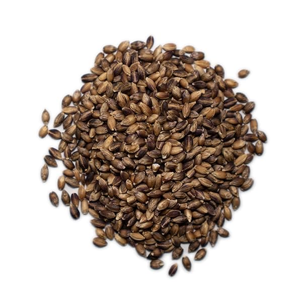 1000 SPRINGS MILL – ORGANIC PURPLE BARLEY | USED FOR CEREALS, SALADS, WHOLE WHEAT BREAD, FRESH BARLEY FLOUR, SPROUTING SEEDS, AND MORE | BULK DRIED GRAIN | RESEALABLE BAG | 16OZ (PACK OF 1)