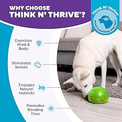 Outward Hound Large Snoop Interactive Treat