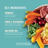 Lily's Kitchen Complete Natural Adult Dog Food Wet 10 x 150g Trays view 2
