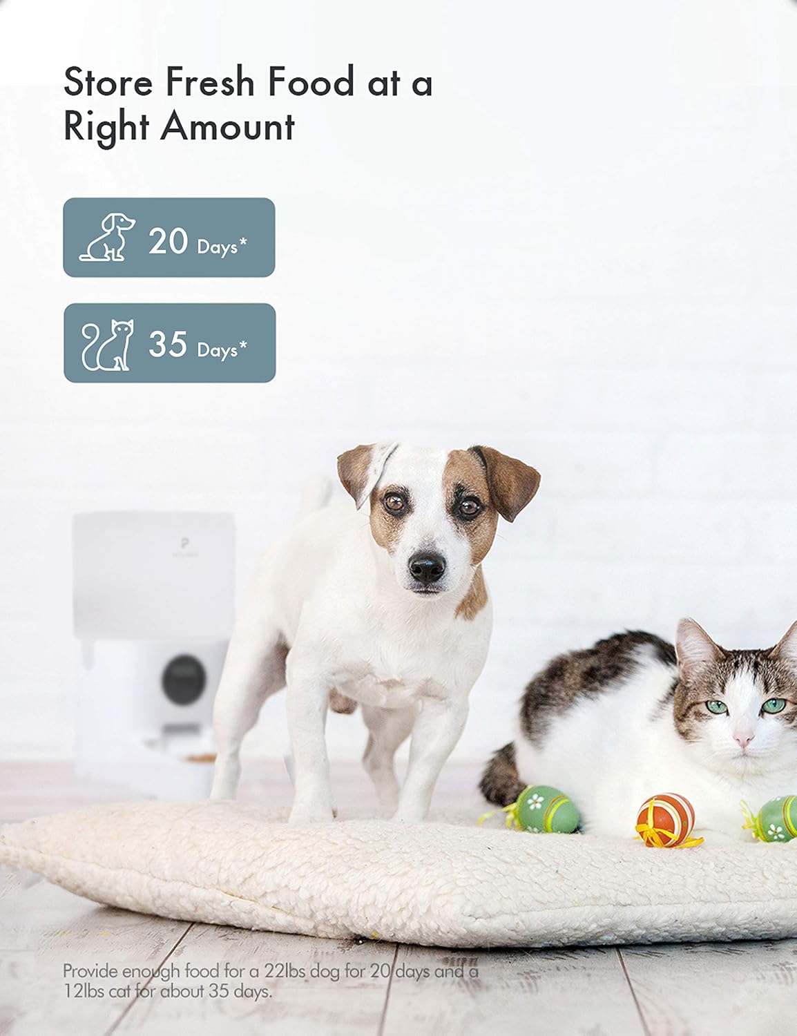 Pet Supplies : PETLIBRO Automatic Cat Feeder, Transnsparent Timed Cat Feeder with Desiccant Bag for Dry Food, Programmable Portion Control 1-4 Meals per Day & 10s Voice Recorder for Small/Medium Pets (6L) : 