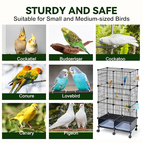 VISCOO UPGRADED ENCRYPTED 46-INCH BIRD CAGE, WITH WOODEN PERCHES, METAL PARAKEET CAGE WITH SLIDE-OUT TRAY, WATER BOTTLE&FEEDER, BIRD CAGES FOR PARROT,PARAKEETS,COCKATIEL,LOVEBIRD,SMALL MID-SIZED BIRDS