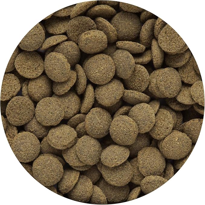 sinking wafers fish food