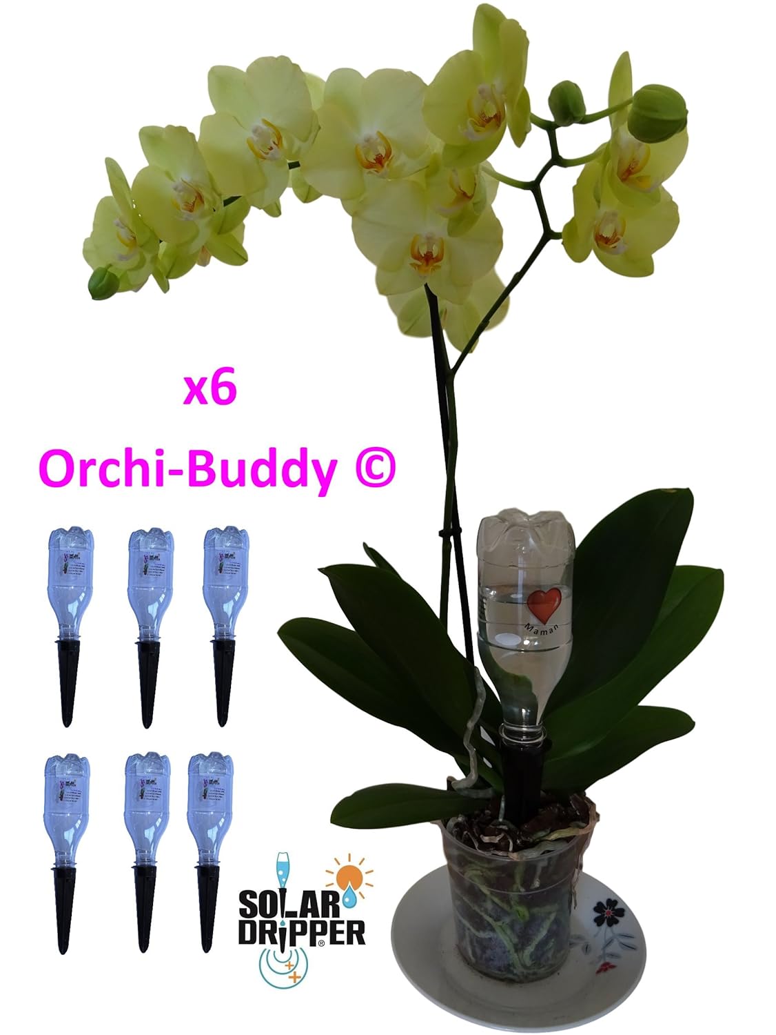 Automatic Watering system for orchids. kit of 6 Amazon.co.uk Garden