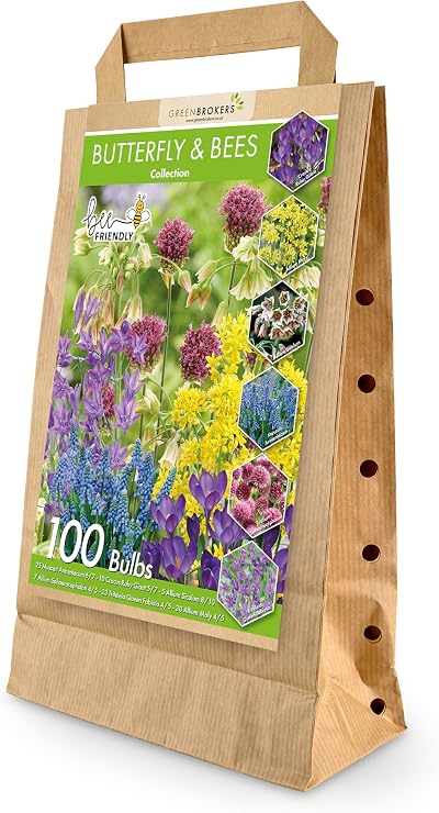 GreenBrokers Butterfly & Bee Collection Bulbs 100 Pack Spring Flowers