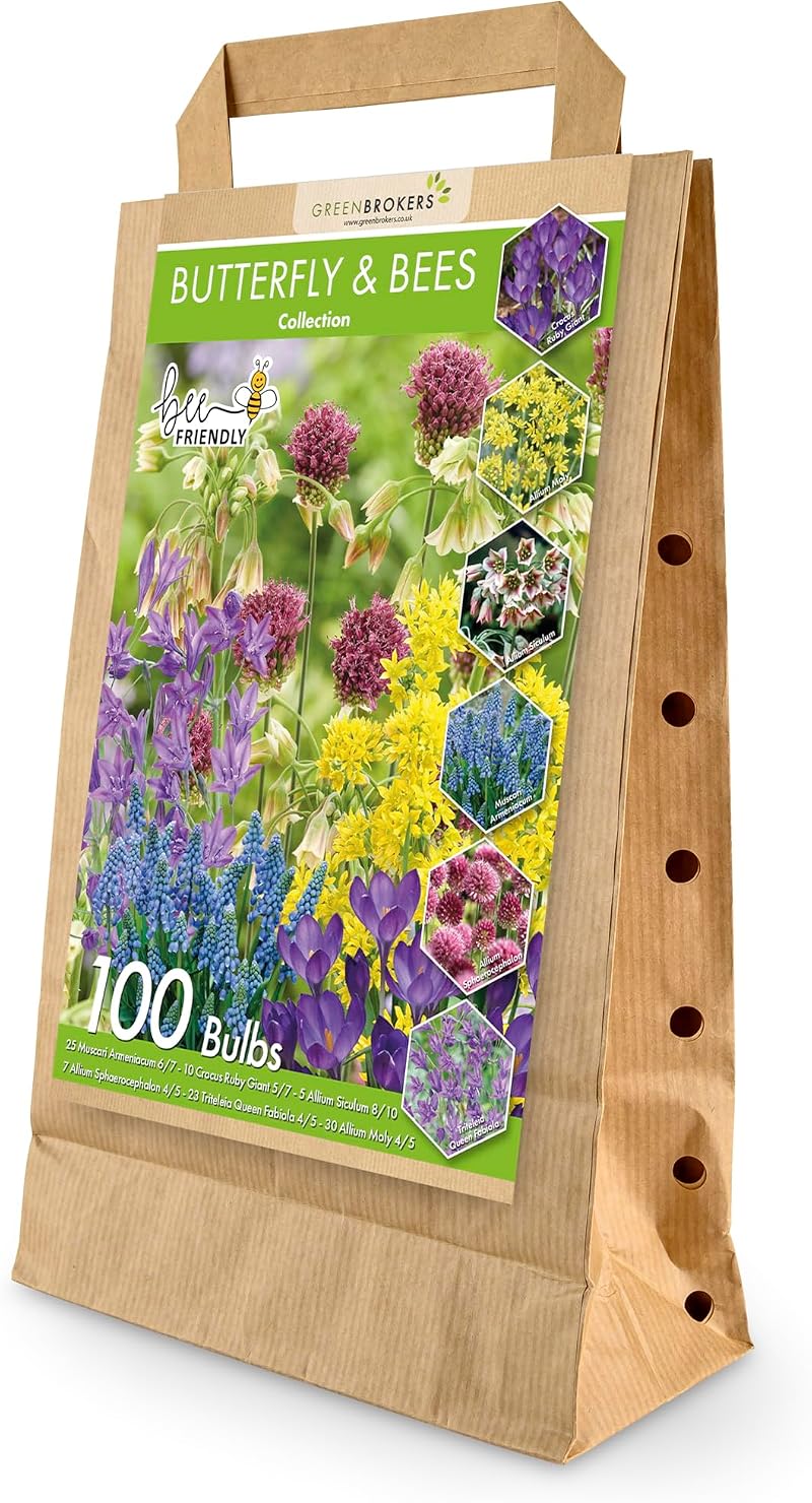 GreenBrokers Butterfly & Bee Collection Bulbs 100 Pack Spring Flowers