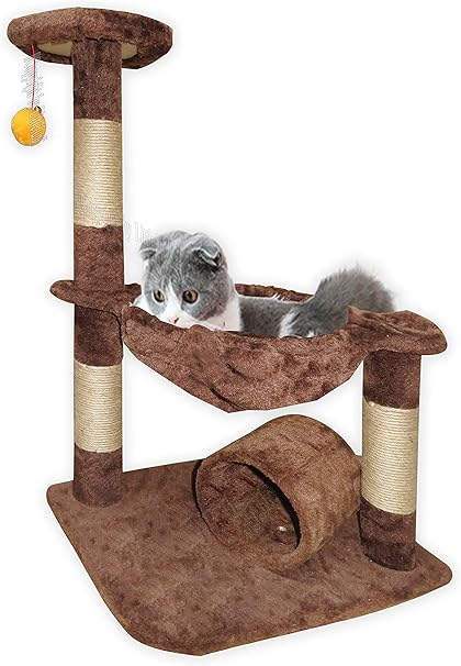 kitten scratcher