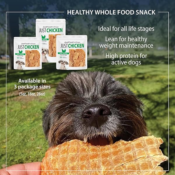 JUSTFOODFORDOGS HEALTHY DOG TREATS, SINGLE-INGREDIENT, CHICKEN BREAST, 5 OZ