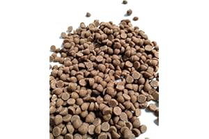 EMPORIUM CANDY TASTY TREATS FOR THE TUMMY Butterscotch Baking Chips - 1 lb of 4M Smooth Small Fresh Delicious Sweet Creamy Baking Drops