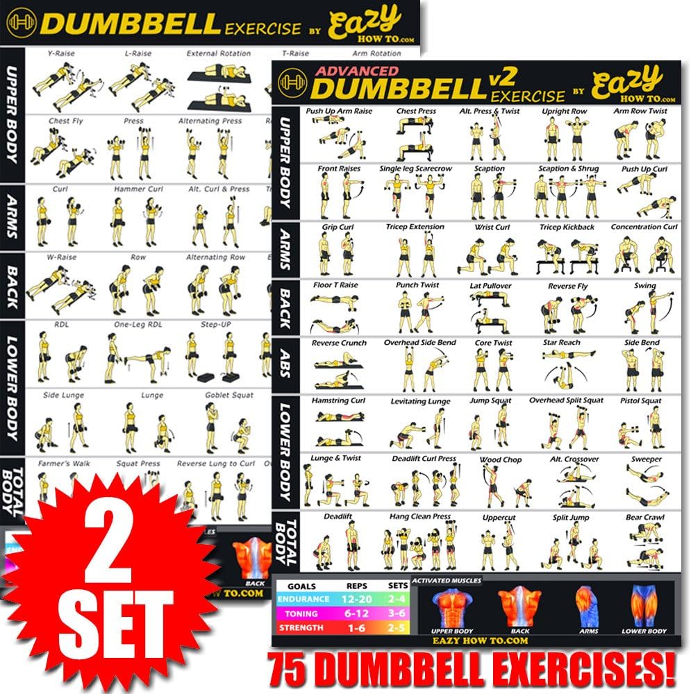 Eazy How To Dumbbell Exercise Workout Poster BIG 51 x 73cm Train Endurance, Tone, Build Strength & Muscle Home Gym Chart