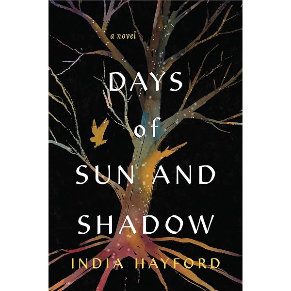 Eye of the Sun: Hofmeyr, Dianne: 9781442411869: Amazon.com: Books