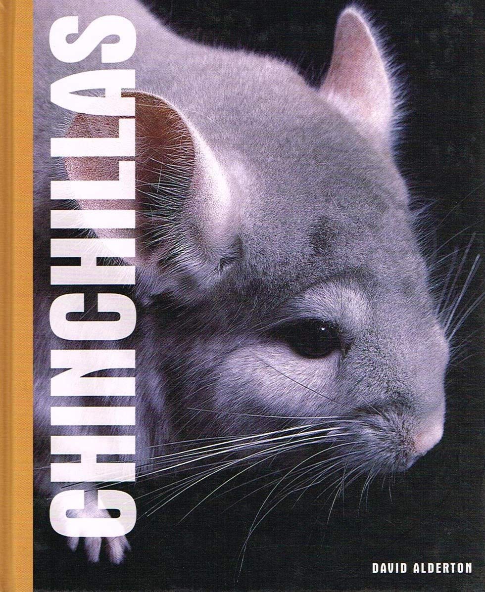 Chinchillas