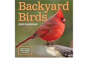 TF Publishing 2026 Backyard Birds Mini Calendar with Monthly Grids for Appointments and Scheduling - Vertical Small Wall Calendar 2026 with Premium Gloss Paper for Home and Office Organization - 7x7in