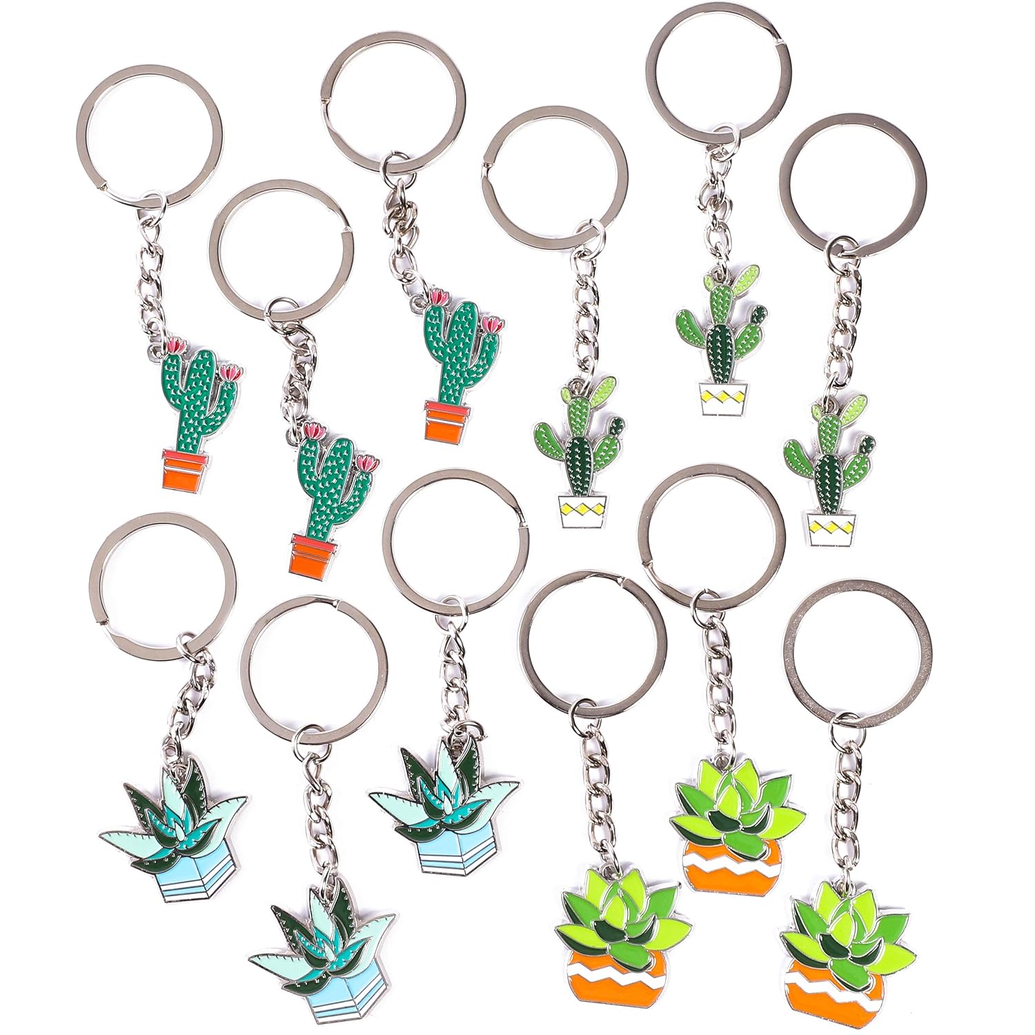 Succulent and Cactus Keychains (4 Designs, 12 Pack) Amazon.in Shoes