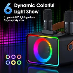 Karaoke Machine,Portable Bluetooth Speaker with 2