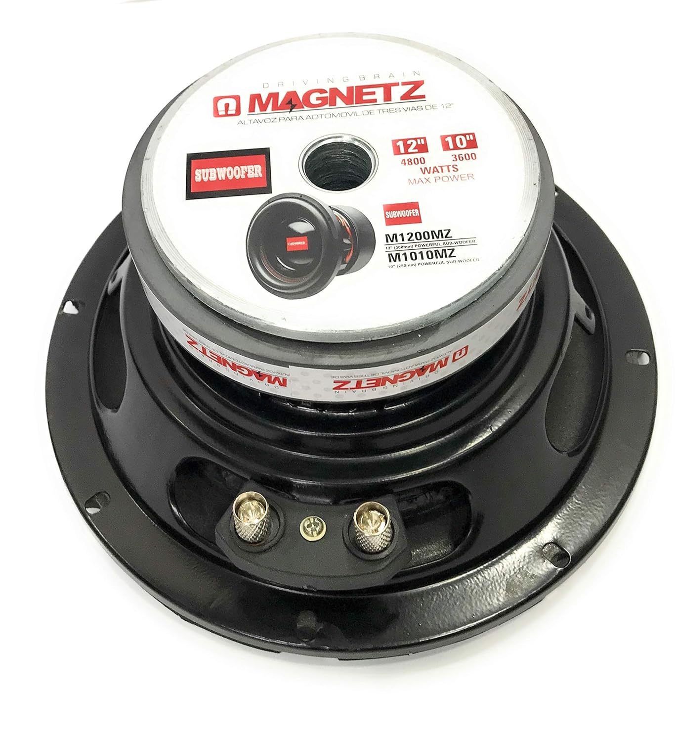 cheap 8 inch subwoofer