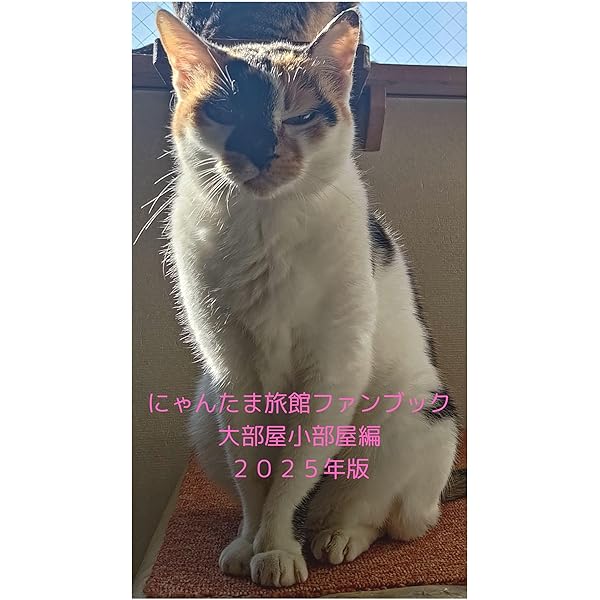 only Chao photo book Nyantama ryokan fanbook (Japanese Edition