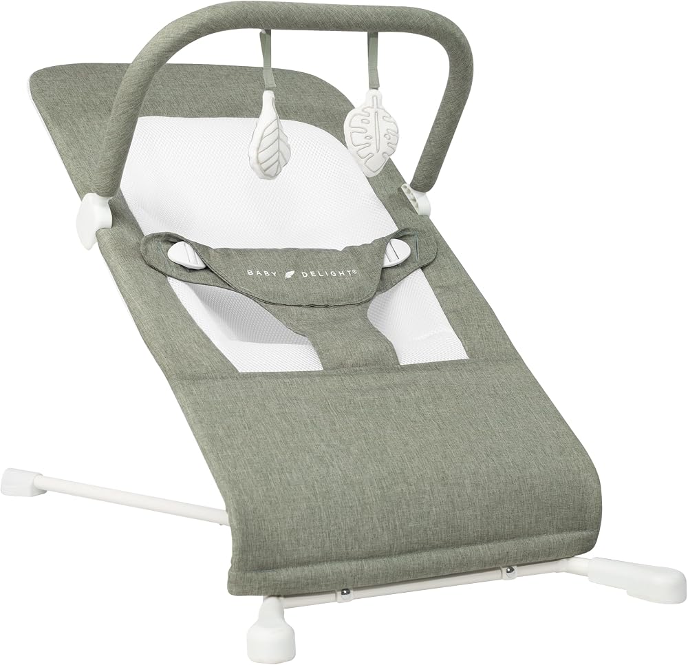 Baby Delight Highland Baby Bouncer, Sage Tweed | For Infants 0 – 6 Months, 3-Position Recline, Adjustable 3-Point Harness, Se