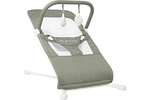 Baby Delight Highland Baby Bouncer | Infant | 0 – 6 Months | 3-Position Recline | Sage Tweed
