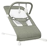 Baby Delight Highland Baby Bouncer | Infant | 0